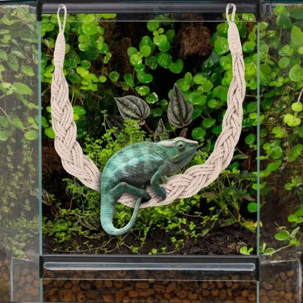 Hermit Crab Toys Hermit Crab Climbing Jute Rope Ladder Reptile Tank Terrarium Accessories Hermit Crab Climbing Jute Rope Ladder 1