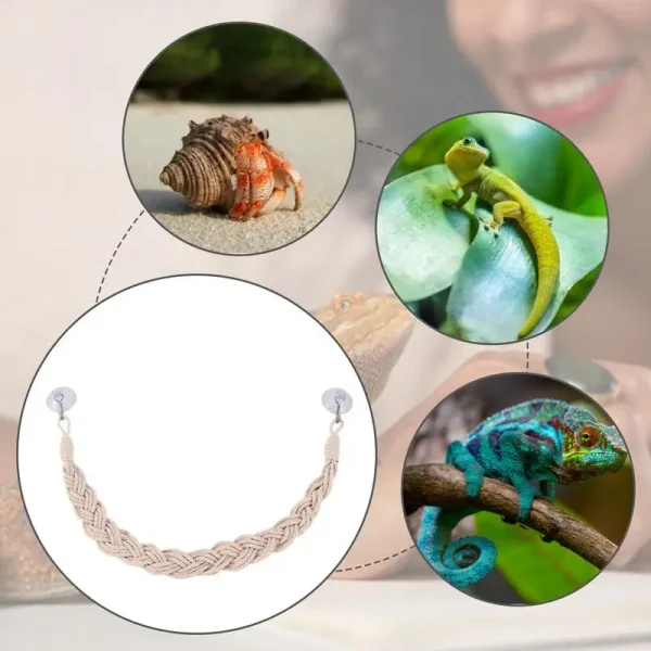 Hermit Crab Toys Hermit Crab Climbing Jute Rope Ladder Reptile Tank Terrarium Accessories Hermit Crab Climbing Jute Rope Ladder 4