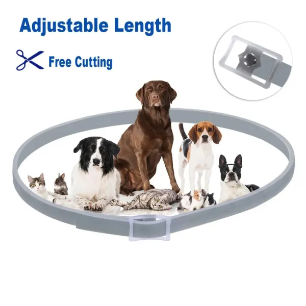Flea And Tick Collar Silicone Adjustable Dogs Cats Collar 8 Month Protection Anti-mosquitoes Insect Repellent Pet Supplies 3