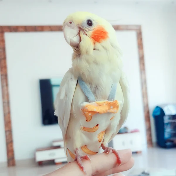 Parrot Diaper with Bowtie Cute Colorful Fruit Floral Cockatiel Pigeons Small Medium Large Pet Birds Flight Suit Clothes Washable 5