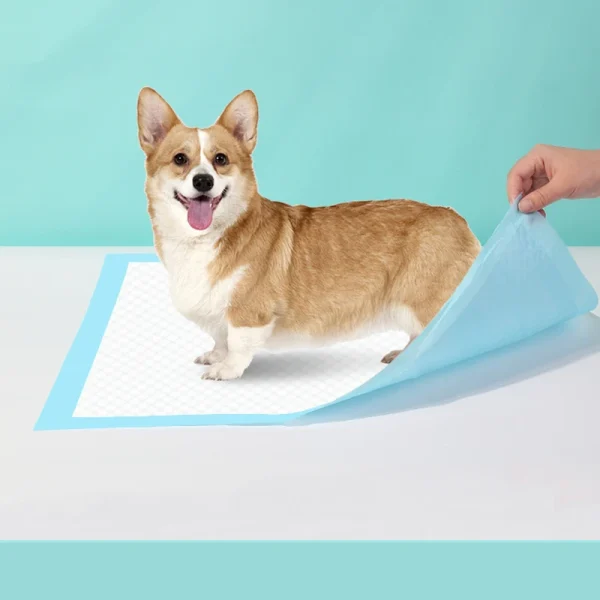 Dogs Disposable Water Absorbent Diaper Thickened Pet Urine Pad Pet Products Deodorant Cat Dog Urine Pad Litter & Housebreaking 1