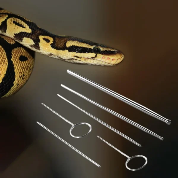 6Pcs/Set Snake Gender Detector Kit Reusable Stainless Steel High Performance Reptiles Snake Gender Probes Kit Detection Tool 1