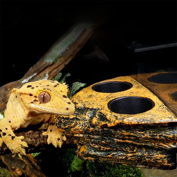 Magnetic Reptile Feeding Ledge, Hanging Reptile Food Water Dish, Levitation Bowl For Gecko, Lizards, Tree Frogs, Chameleons 1