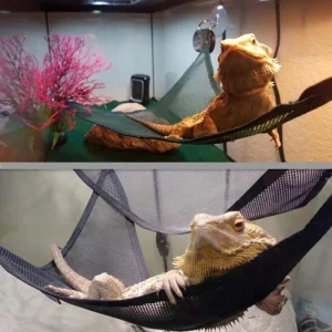 Reptile Hammock Lounger Ladder Accessories Set for Large Small Bearded Dragons Anole Geckos Lizards or Snakes Reptile Accessorie 1