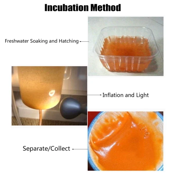 60g Aquarium Tropic Fish Food Feeding Baby Fishes Artemia Shelling Eggs Brine Shrimp Shelling Eggfood 4